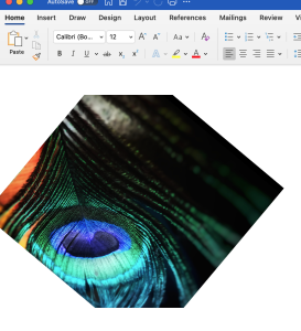 วิธีปรับขนาดภาพในเอกสาร Word โดยใช้ cshap