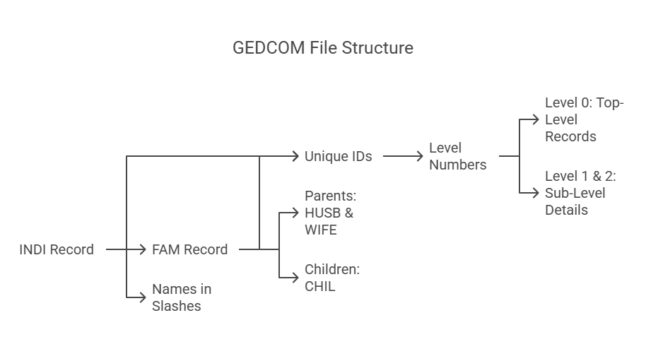 Minh họa - GEDCOM - Giải thích về Các Bản ghi Chính